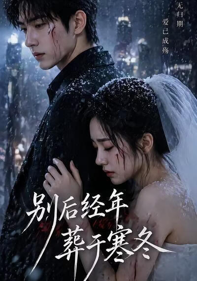 别后经年，葬于寒冬