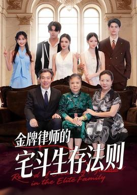 金牌律师的宅斗生存法则